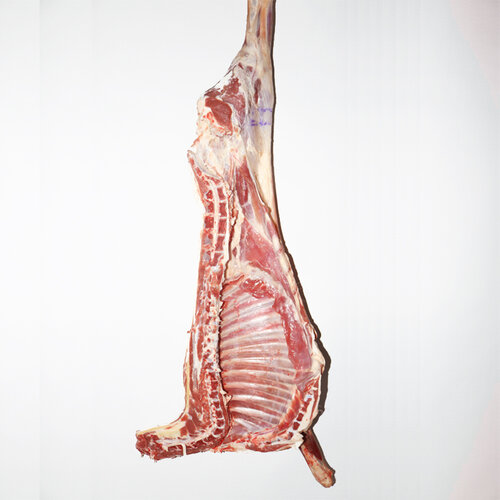 Half lamb